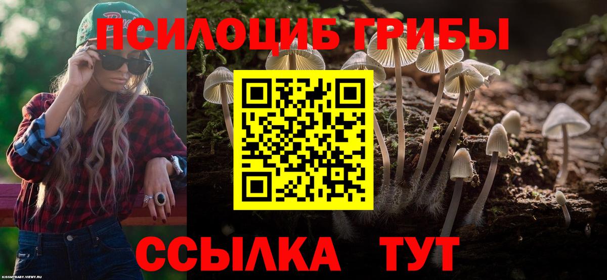 Галлюциногенные грибы мицелий  дарнет шоп  Вход с VPN  Ессентуки  Галлюциногенные грибы GOLDEN TEACHER 